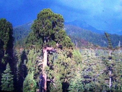 PICT0438.JPG