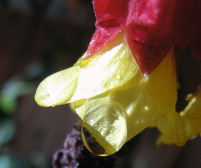 P1010050.jpg