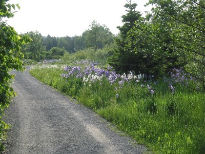 IMG_2860.JPG