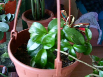PICT0713.JPG
