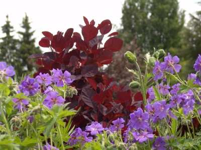 2006-06-08_05.JPG