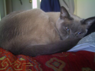 PICT0019.JPG