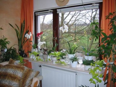 Größenänderung IMG_1952.JPG