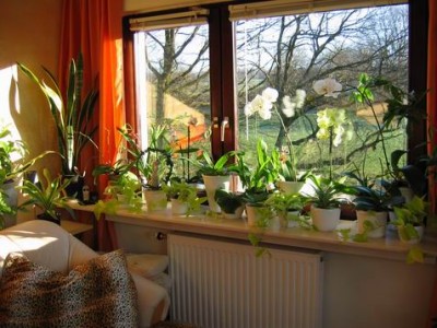 Größenänderung IMG_1893.JPG