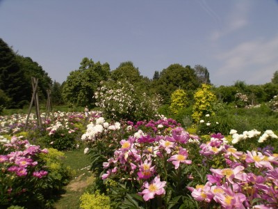 2006-06-20_02.JPG