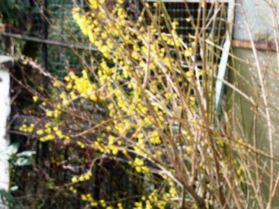 PICT0721.JPG