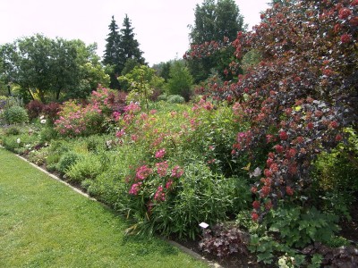 2006-06-22_10.JPG