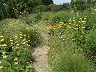2006-06-22_16.JPG
