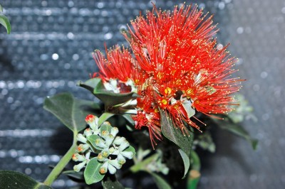 DSC_0186_edited.JPG