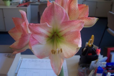 100_3909.JPG