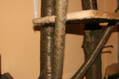 kratzbaum1.jpg
