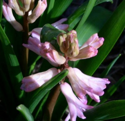 PICT0755.JPG