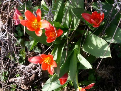 PICT0750.JPG