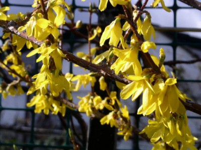 PICT0748.JPG