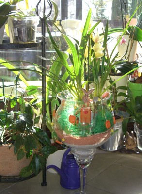 CIMG2441 - Kopie.JPG