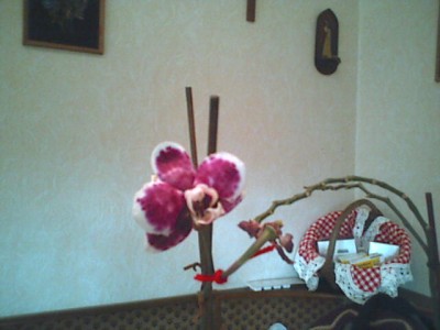 080308_132002.jpg