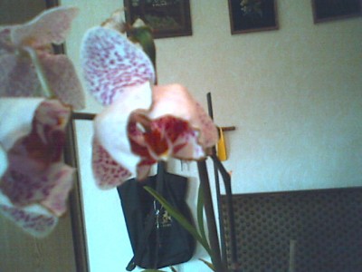 080308_131946.jpg