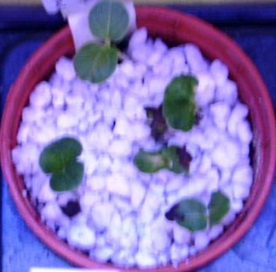 PICT0406.JPG