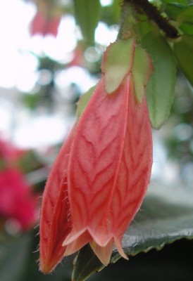 P1010447.jpg