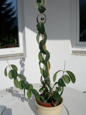 DSCN2754.JPG