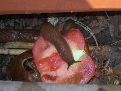 DSCN1279.JPG