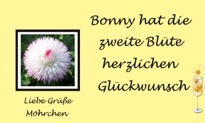Ohne Titel-1 Kopie.jpgzt.jpg