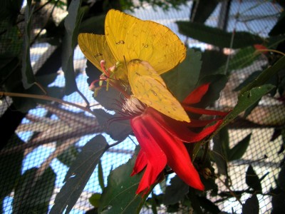 P1010043.jpg