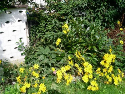 PICT0115.JPG