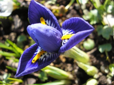 P1010189.jpg