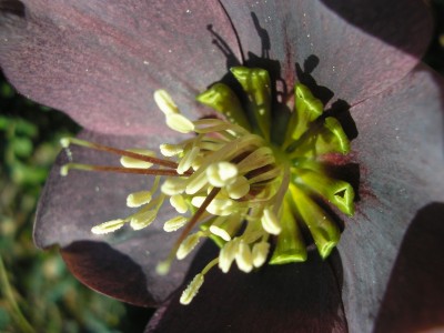 P1010227.jpg