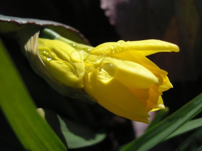 P1010139.jpg