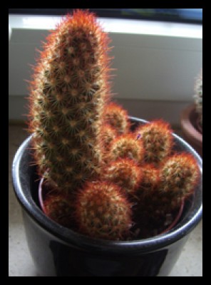 Ohne Titel-2 Kopie.jpgmk.jpg