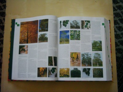 Botanica - Artenvielfalt.JPG