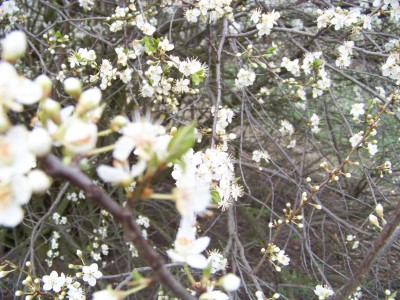 100_0512.JPG