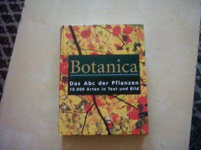 Botanica (1).JPG