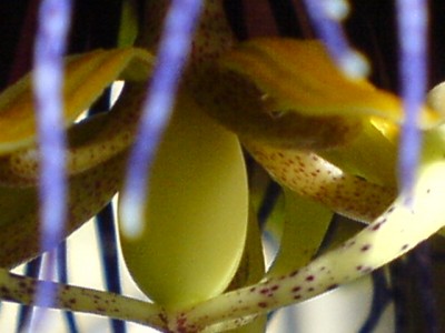 Photo neu 008.jpg