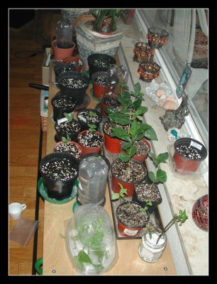 Babystation - 2008-03-11 16-59-09.jpg