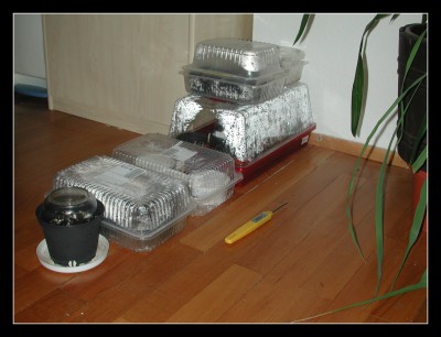 Babystation - 2008-03-11 16-59-41.jpg