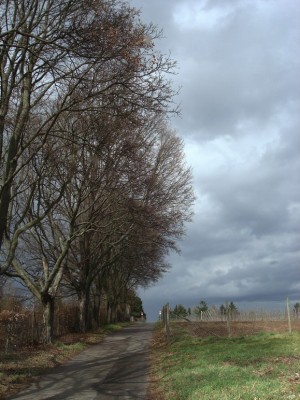 12.03.2008 beim lagerplatz.jpg
