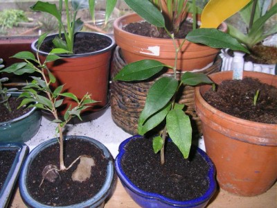SANY0024.JPG