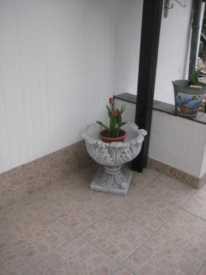 Terasse3.jpg