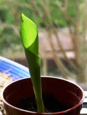 PICT0139.JPG