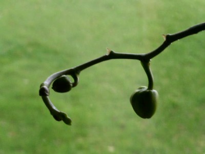 PICT0179.JPG