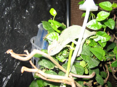 IMG_2506.JPG