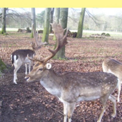 Natur 015.jpg