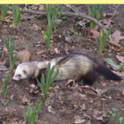 Natur 104 Kopie.jpg