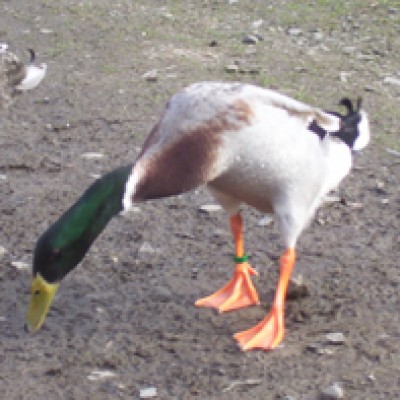 Natur 051.jpg