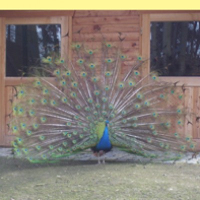 Natur 050.jpg