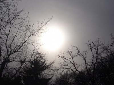 Natur 067.jpg