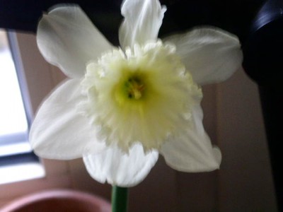PICT0251.JPG